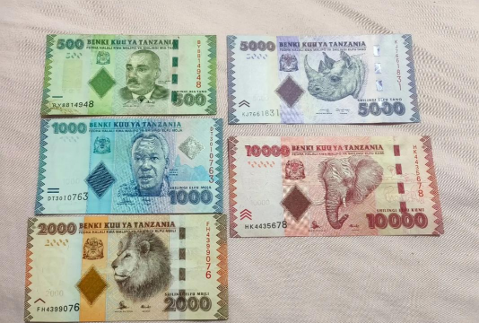 坦桑尼亚先令