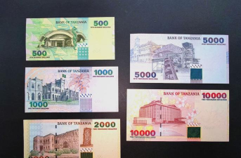 坦桑尼亚先令