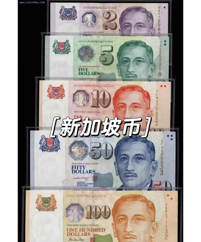 新加坡元