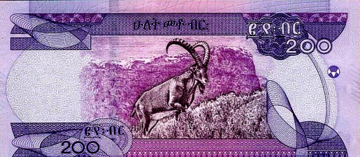 埃塞俄比亚比尔